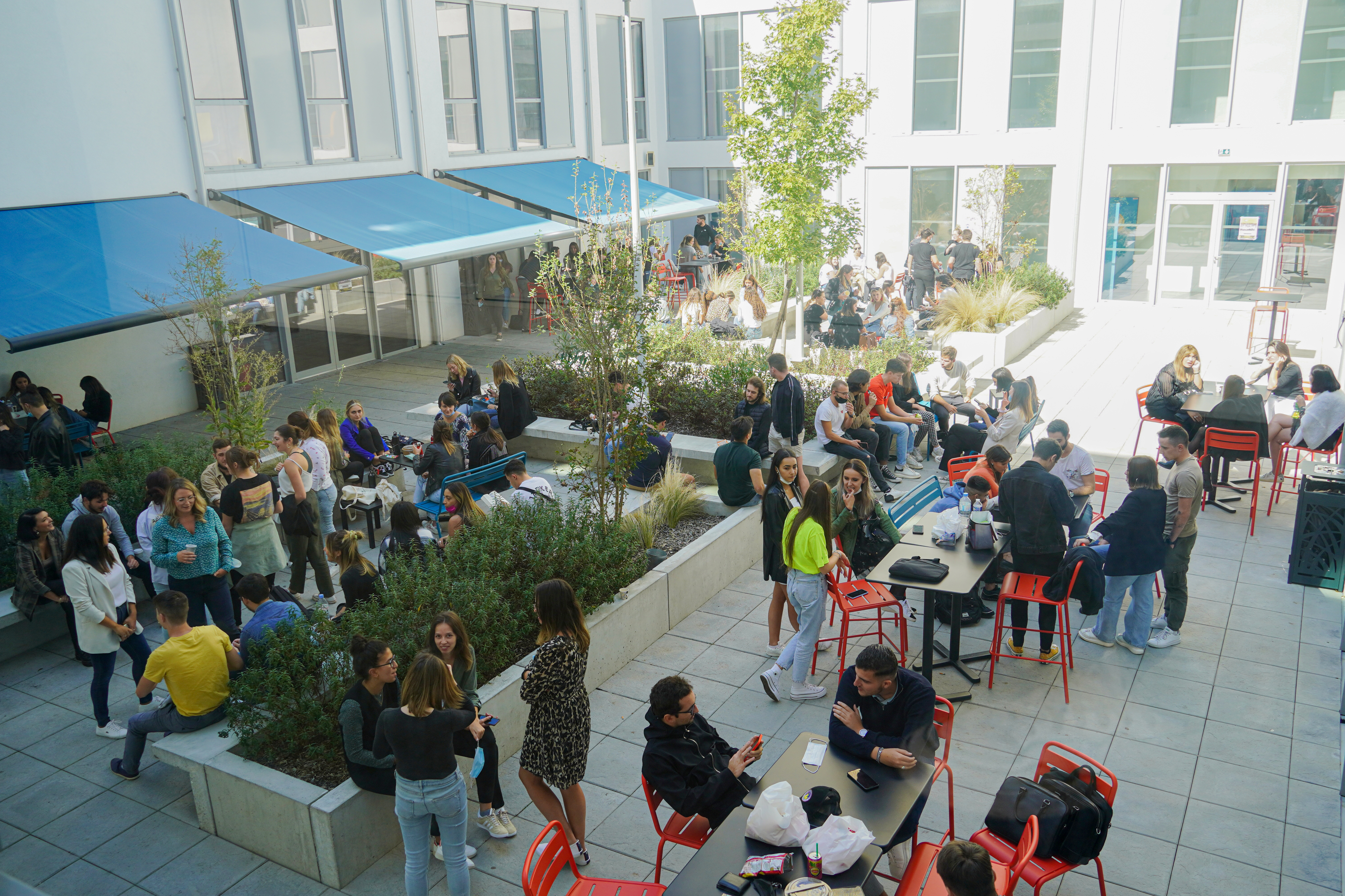 Picture of students in campus