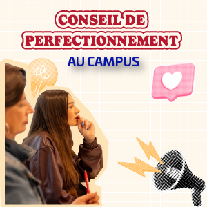 Conseil de perfectionnement